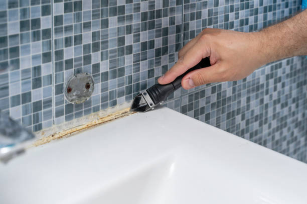 Best Post-Flood Mold Remediation in Chesterfield, SC
